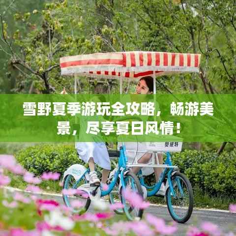 雪野夏季游玩全攻略,畅游美景,尽享夏日风情!