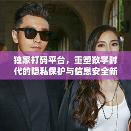 独家打码平台,重塑数字时代的隐私保护与信息安全新篇章
