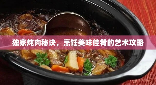 独家炖肉秘诀,烹饪美味佳肴的艺术攻略