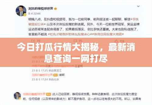 今日打瓜行情大揭秘,最新消息查询一网打尽