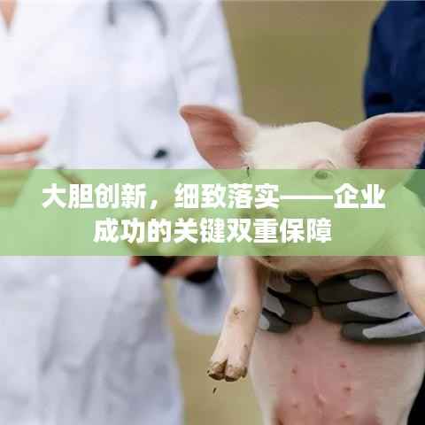大胆创新,细致落实——企业成功的关键双重保障