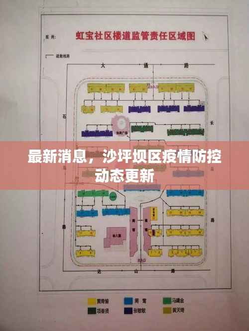 最新消息,沙坪坝区疫情防控动态更新
