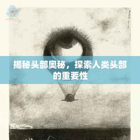 揭秘头部奥秘,探索人类头部的重要性
