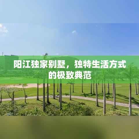 阳江独家别墅,独特生活方式的极致典范