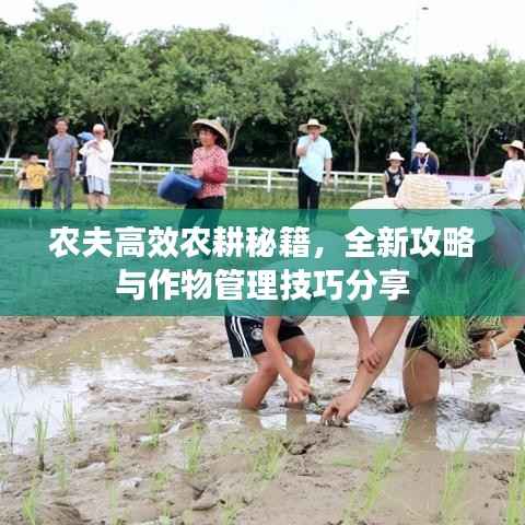 农夫高效农耕秘籍,全新攻略与作物管理技巧分享