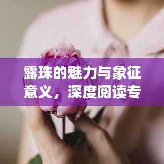 露珠的魅力与象征意义,深度阅读专题训练