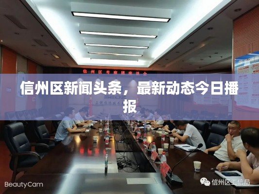 信州区新闻头条，最新动态今日播报