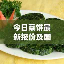 今日菜饼最新报价及图片大全,一览无余