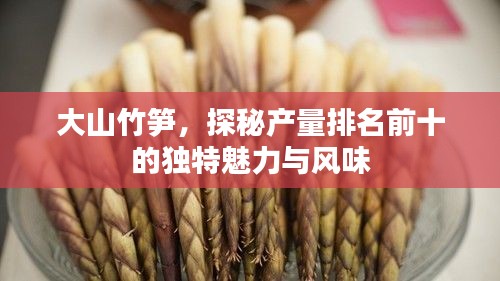 大山竹笋,探秘产量排名前十的独特魅力与风味