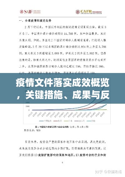 疫情文件落实成效概览,关键措施、成果与反思