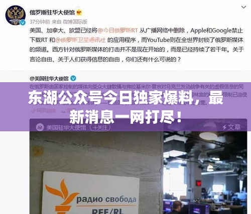 东湖公众号今日独家爆料,最新消息一网打尽!