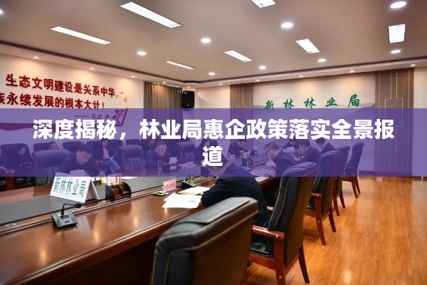 深度揭秘，林业局惠企政策落实全景报道