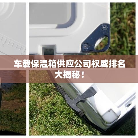 车载保温箱供应公司权威排名大揭秘!