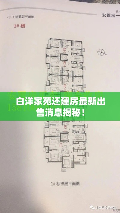 白洋家苑还建房最新出售消息揭秘!