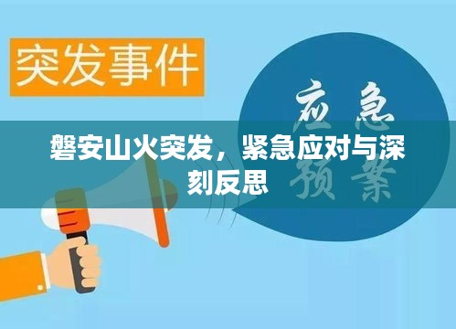 磐安山火突发,紧急应对与深刻反思