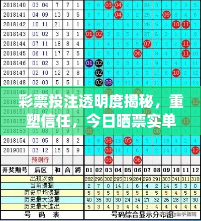 彩票投注透明度揭秘,重塑信任,今日晒票实单最新资讯!