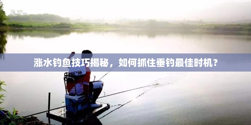 涨水钓鱼技巧揭秘,如何抓住垂钓最佳时机?
